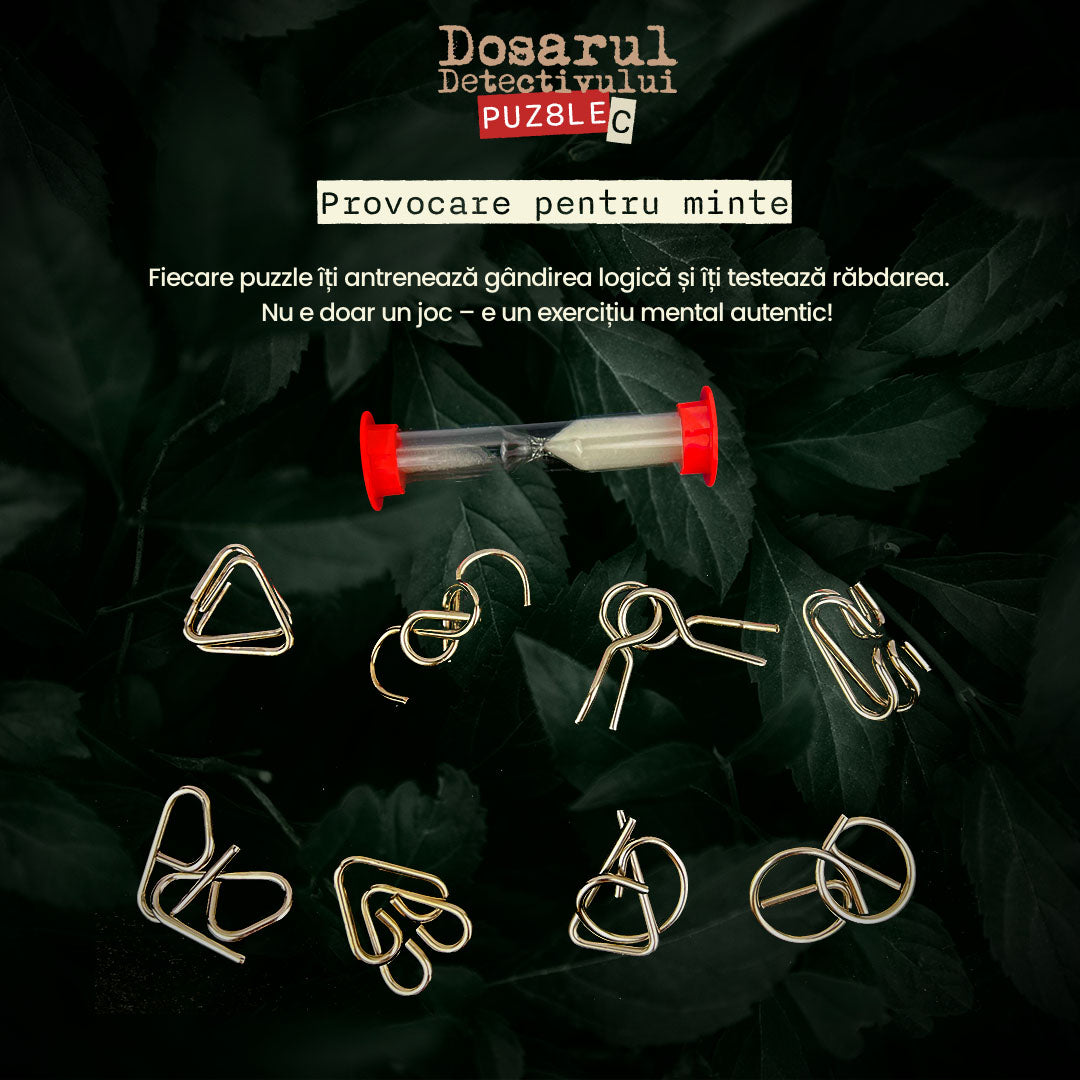Set Puzzle Metalic Dosarul Detectivului