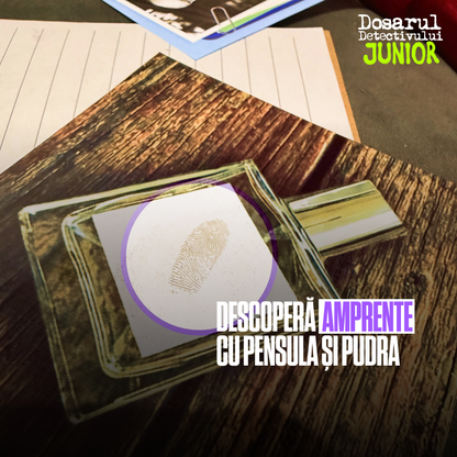 Dosarul Detectivului Junior